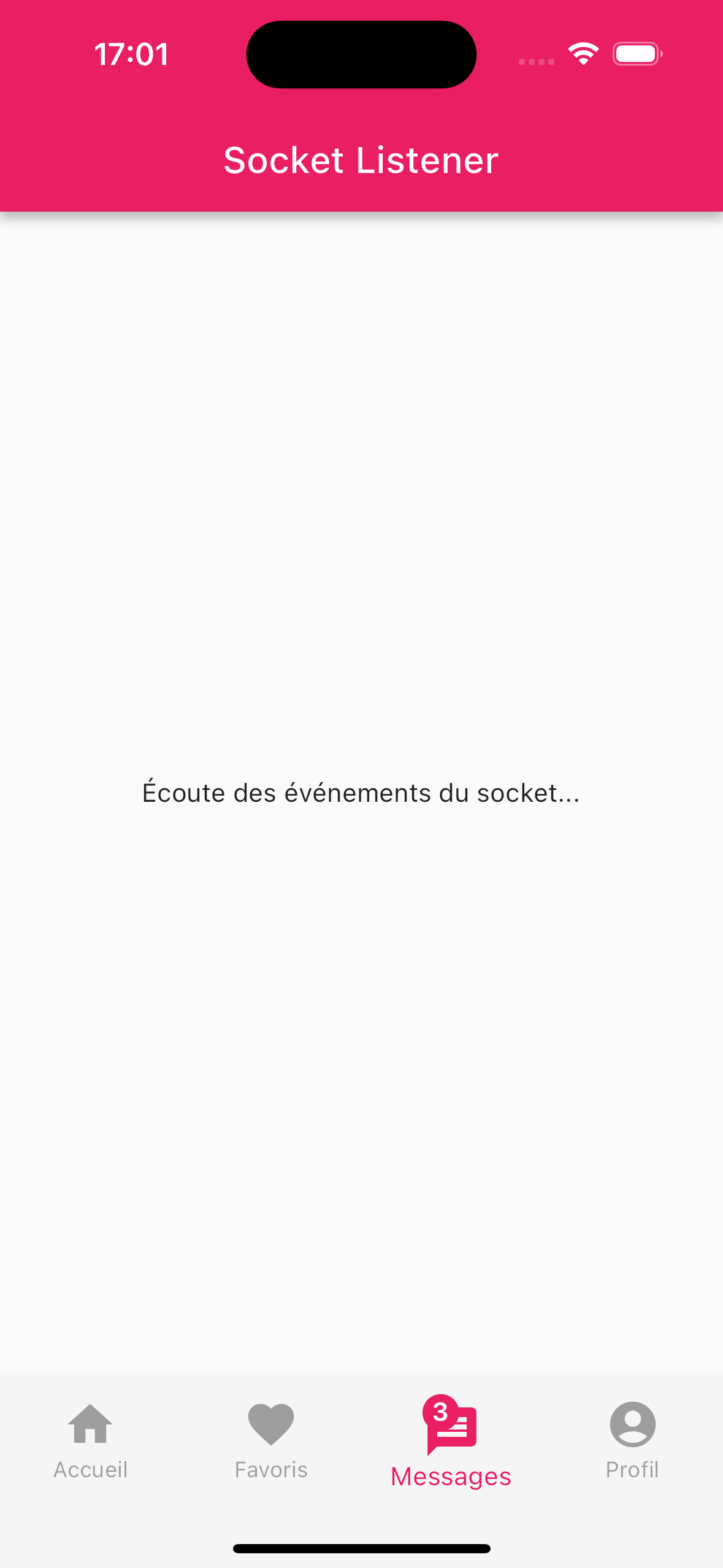 Developpeur de Ludo